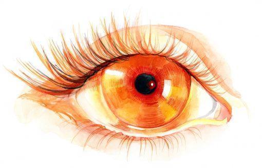 Dry Eyes Solution: Sea Buckthorn Berry