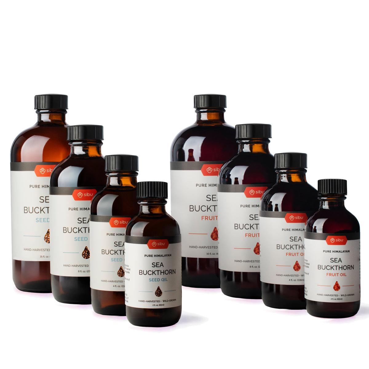 Bulk Himalayan Sea Buckthorn Oils, Soft Gels & Puree | Sibu – Sibu Sea ...